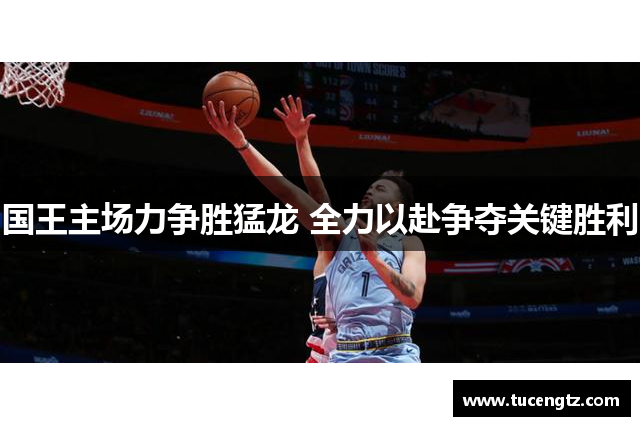 国王主场力争胜猛龙 全力以赴争夺关键胜利
