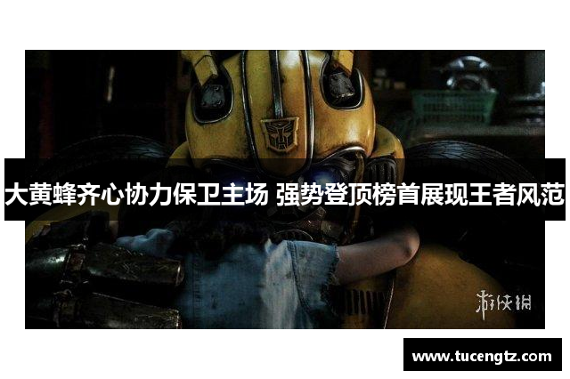 大黄蜂齐心协力保卫主场 强势登顶榜首展现王者风范