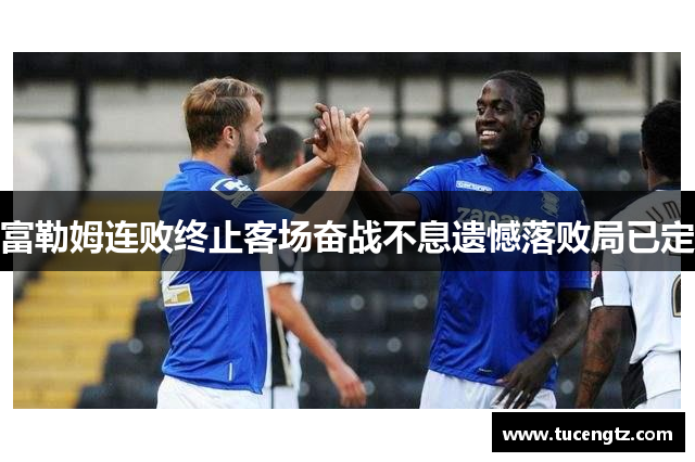 富勒姆连败终止客场奋战不息遗憾落败局已定
