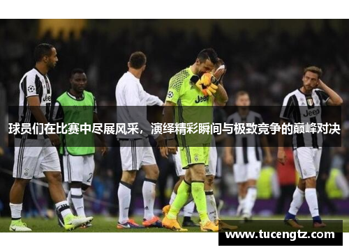 球员们在比赛中尽展风采，演绎精彩瞬间与极致竞争的巅峰对决