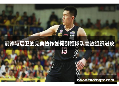 前锋与后卫的完美协作如何引领球队高效组织进攻