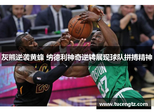 灰熊逆袭黄蜂 纳德利神奇逆转展现球队拼搏精神