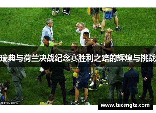 瑞典与荷兰决战纪念赛胜利之路的辉煌与挑战
