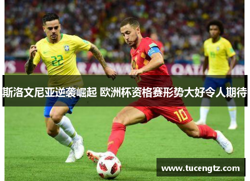 斯洛文尼亚逆袭崛起 欧洲杯资格赛形势大好令人期待