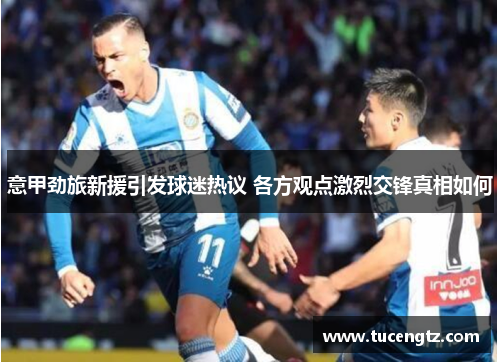 意甲劲旅新援引发球迷热议 各方观点激烈交锋真相如何