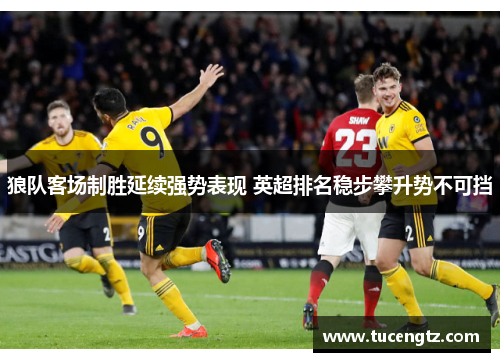 狼队客场制胜延续强势表现 英超排名稳步攀升势不可挡