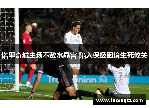 诺里奇城主场不敌水晶宫 陷入保级困境生死攸关