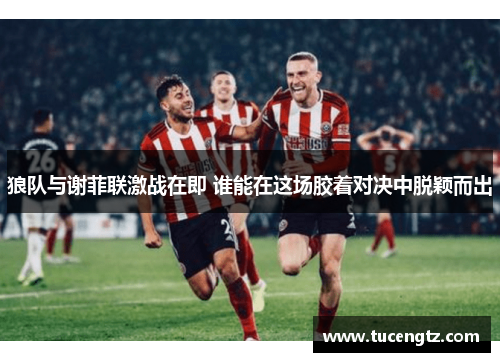狼队与谢菲联激战在即 谁能在这场胶着对决中脱颖而出