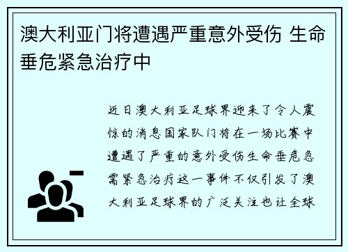 澳大利亚门将遭遇严重意外受伤 生命垂危紧急治疗中