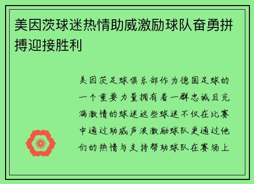 美因茨球迷热情助威激励球队奋勇拼搏迎接胜利
