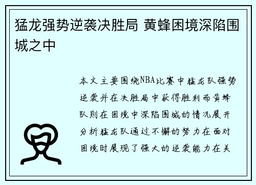 猛龙强势逆袭决胜局 黄蜂困境深陷围城之中