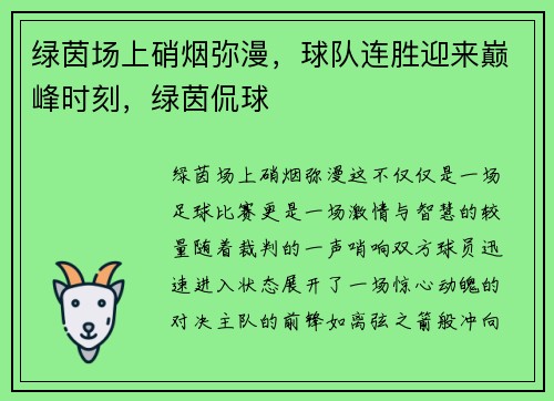 绿茵场上硝烟弥漫，球队连胜迎来巅峰时刻，绿茵侃球