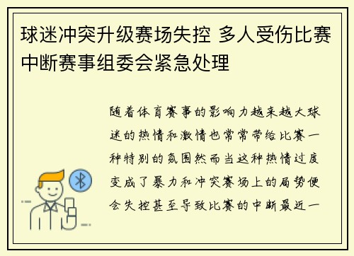 球迷冲突升级赛场失控 多人受伤比赛中断赛事组委会紧急处理