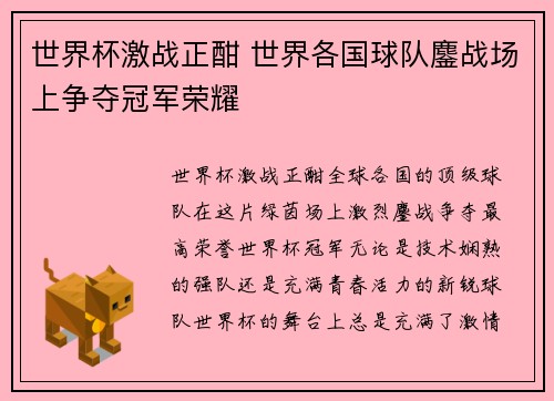世界杯激战正酣 世界各国球队鏖战场上争夺冠军荣耀